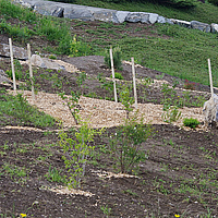 aménagement jardins